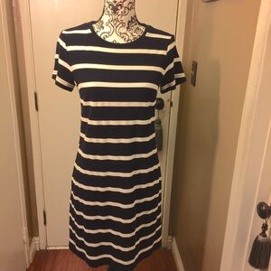 Ann Taylor Blue/White Shift Dress